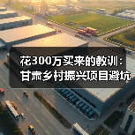 花300万买来的教训:甘肃乡村振兴项目避坑指南(图2) 花300万买来的教训:甘肃乡村振兴项目避坑指南(图2)