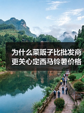 为什么菜贩子比批发商更关心定西马铃薯价格指数?(图2) 为什么菜贩子比批发商更关心定西马铃薯价格指数?(图2)