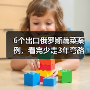 6个出口俄罗斯蔬菜案例，看完少走3年弯路（图4）