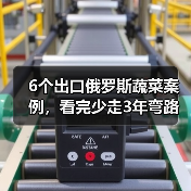 6个出口俄罗斯蔬菜案例，看完少走3年弯路
