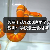 饭局上花1200块买了个教训：学校食堂食材供应（图2）