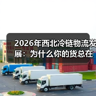 2026年西北冷链物流发展:为什么你的货总在路上烂掉?(图3) 2026年西北冷链物流发展:为什么你的货总在路上烂掉?(图3)