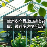 兰州农产品出口动态背后，藏着多少你不知道的门道？