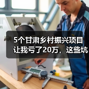 5个甘肃乡村振兴项目让我亏了20万,这些坑你别再踩了(图2) 5个甘肃乡村振兴项目让我亏了20万,这些坑你别再踩了(图2)