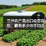 兰州农产品出口动态背后，藏着多少你不知道的门道？（图4）