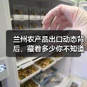 兰州农产品出口动态背后，藏着多少你不知道的门道？（图2）