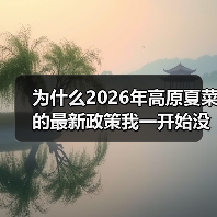 为什么2026年高原夏菜的最新政策我一开始没看懂?(图4) 为什么2026年高原夏菜的最新政策我一开始没看懂?(图4)