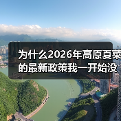 为什么2026年高原夏菜的最新政策我一开始没看懂?(图2) 为什么2026年高原夏菜的最新政策我一开始没看懂?(图2)