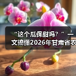 “这个瓜保甜吗？”一文搞懂2026年甘肃省农产品质量安全
