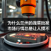 为什么兰州的蔬菜批发市场行情总是让人摸不着头脑?(图3) 为什么兰州的蔬菜批发市场行情总是让人摸不着头脑?(图3)