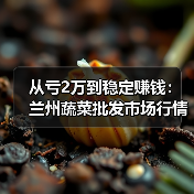 从亏2万到稳定赚钱:兰州蔬菜批发市场行情(图3) 从亏2万到稳定赚钱:兰州蔬菜批发市场行情(图3)