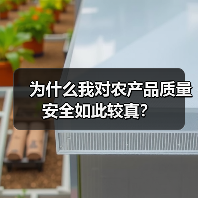 为什么我对农产品质量安全如此较真?(图4) 为什么我对农产品质量安全如此较真?(图4)