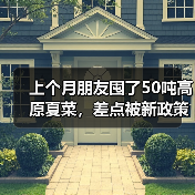 上个月朋友囤了50吨高原夏菜，差点被新政策整破产