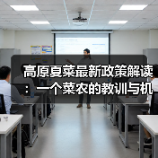 高原夏菜最新政策解读：一个菜农的教训与机会