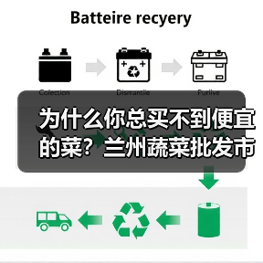 为什么你总买不到便宜的菜？兰州蔬菜批发市场行情（图2）