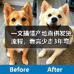 一文搞懂产地直供发货流程，看完少走3年弯路（图2）