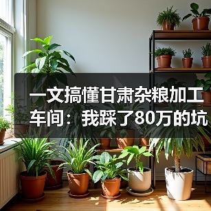 一文搞懂甘肃杂粮加工车间:我踩了80万的坑才明白的事(图4) 一文搞懂甘肃杂粮加工车间:我踩了80万的坑才明白的事(图4)