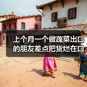 上个月一个做蔬菜出口的朋友差点把货烂在口岸：出口俄罗斯蔬菜案例（图4）