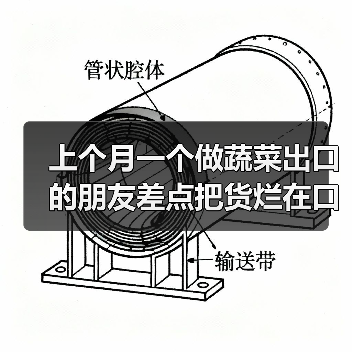 上个月一个做蔬菜出口的朋友差点把货烂在口岸：出口俄罗斯蔬菜案例（图2）