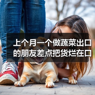 上个月一个做蔬菜出口的朋友差点把货烂在口岸：出口俄罗斯蔬菜案例