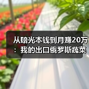 从赔光本钱到月赚20万：我的出口俄罗斯蔬菜案例复盘