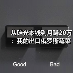 从赔光本钱到月赚20万：我的出口俄罗斯蔬菜案例复盘（图4）