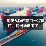 朋友从陇西带回一袋黄芪，我当场傻眼了