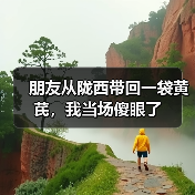 朋友从陇西带回一袋黄芪,我当场傻眼了(图4) 朋友从陇西带回一袋黄芪,我当场傻眼了(图4)