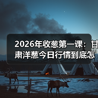 2026年收葱第一课:甘肃洋葱今日行情到底怎么看?(图3) 2026年收葱第一课:甘肃洋葱今日行情到底怎么看?(图3)