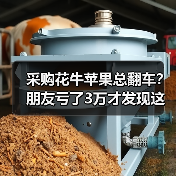 采购花牛苹果总翻车?朋友亏了3万才发现这些坑(图3) 采购花牛苹果总翻车?朋友亏了3万才发现这些坑(图3)