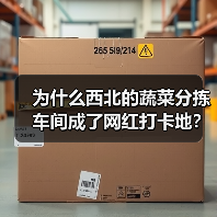 为什么西北的蔬菜分拣车间成了网红打卡地？（图2）