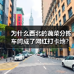 为什么西北的蔬菜分拣车间成了网红打卡地？（图3）