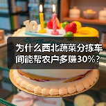 为什么西北蔬菜分拣车间能帮农户多赚30%?我跑了4个基地才搞明白(图4) 为什么西北蔬菜分拣车间能帮农户多赚30%?我跑了4个基地才搞明白(图4)