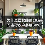 为什么西北蔬菜分拣车间能帮农户多赚30%?我跑了4个基地才搞明白(图3) 为什么西北蔬菜分拣车间能帮农户多赚30%?我跑了4个基地才搞明白(图3)