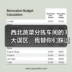 西北蔬菜分拣车间的3大误区,我替你们踩过了(图4) 西北蔬菜分拣车间的3大误区,我替你们踩过了(图4)
