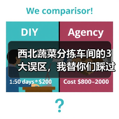 西北蔬菜分拣车间的3大误区，我替你们踩过了