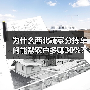 为什么西北蔬菜分拣车间能帮农户多赚30%?我跑了4个基地才搞明白(图2) 为什么西北蔬菜分拣车间能帮农户多赚30%?我跑了4个基地才搞明白(图2)