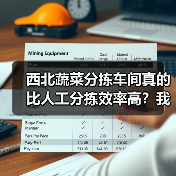 西北蔬菜分拣车间真的比人工分拣效率高?我花了三个月才搞明白(图4) 西北蔬菜分拣车间真的比人工分拣效率高?我花了三个月才搞明白(图4)