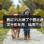我花35万建了个西北蔬菜分拣车间,结果干成了笑话(图2) 我花35万建了个西北蔬菜分拣车间,结果干成了笑话(图2)