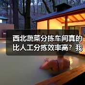 西北蔬菜分拣车间真的比人工分拣效率高?我花了三个月才搞明白(图3) 西北蔬菜分拣车间真的比人工分拣效率高?我花了三个月才搞明白(图3)