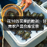 花10万买来的教训：甘肃农产品仓库实景（图4）