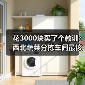 花3000块买了个教训:西北蔬菜分拣车间最该砸钱的设备(图2) 花3000块买了个教训:西北蔬菜分拣车间最该砸钱的设备(图2)