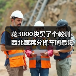 花3000块买了个教训:西北蔬菜分拣车间最该砸钱的设备(图4) 花3000块买了个教训:西北蔬菜分拣车间最该砸钱的设备(图4)