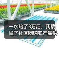 一次赔了3万后,我搞懂了社区团购农产品供货的门道(图4) 一次赔了3万后,我搞懂了社区团购农产品供货的门道(图4)