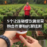 5个让连锁餐饮蔬菜采购合作更稳的潜规则(图2) 5个让连锁餐饮蔬菜采购合作更稳的潜规则(图2)