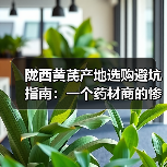 陇西黄芪产地选购避坑指南:一个药材商的惨痛教训(图3) 陇西黄芪产地选购避坑指南:一个药材商的惨痛教训(图3)