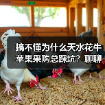 搞不懂为什么天水花牛苹果采购总踩坑?聊聊我的教训(图4) 搞不懂为什么天水花牛苹果采购总踩坑?聊聊我的教训(图4)