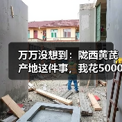 万万没想到：陇西黄芪产地这件事，我花5000块才搞明白