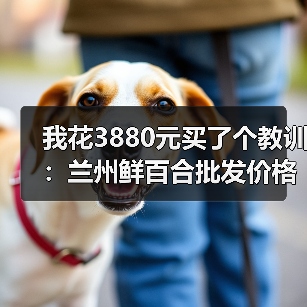 我花3880元买了个教训:兰州鲜百合批发价格到底多少才合理?(图2) 我花3880元买了个教训:兰州鲜百合批发价格到底多少才合理?(图2)