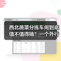 西北蔬菜分拣车间到底值不值得搞？一个外行人的翻车实录（图1）